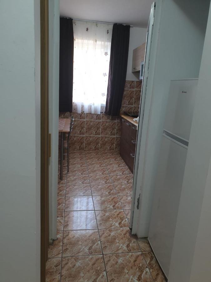 Cazare Apartament Cu 2 Camere ネホイウ エクステリア 写真