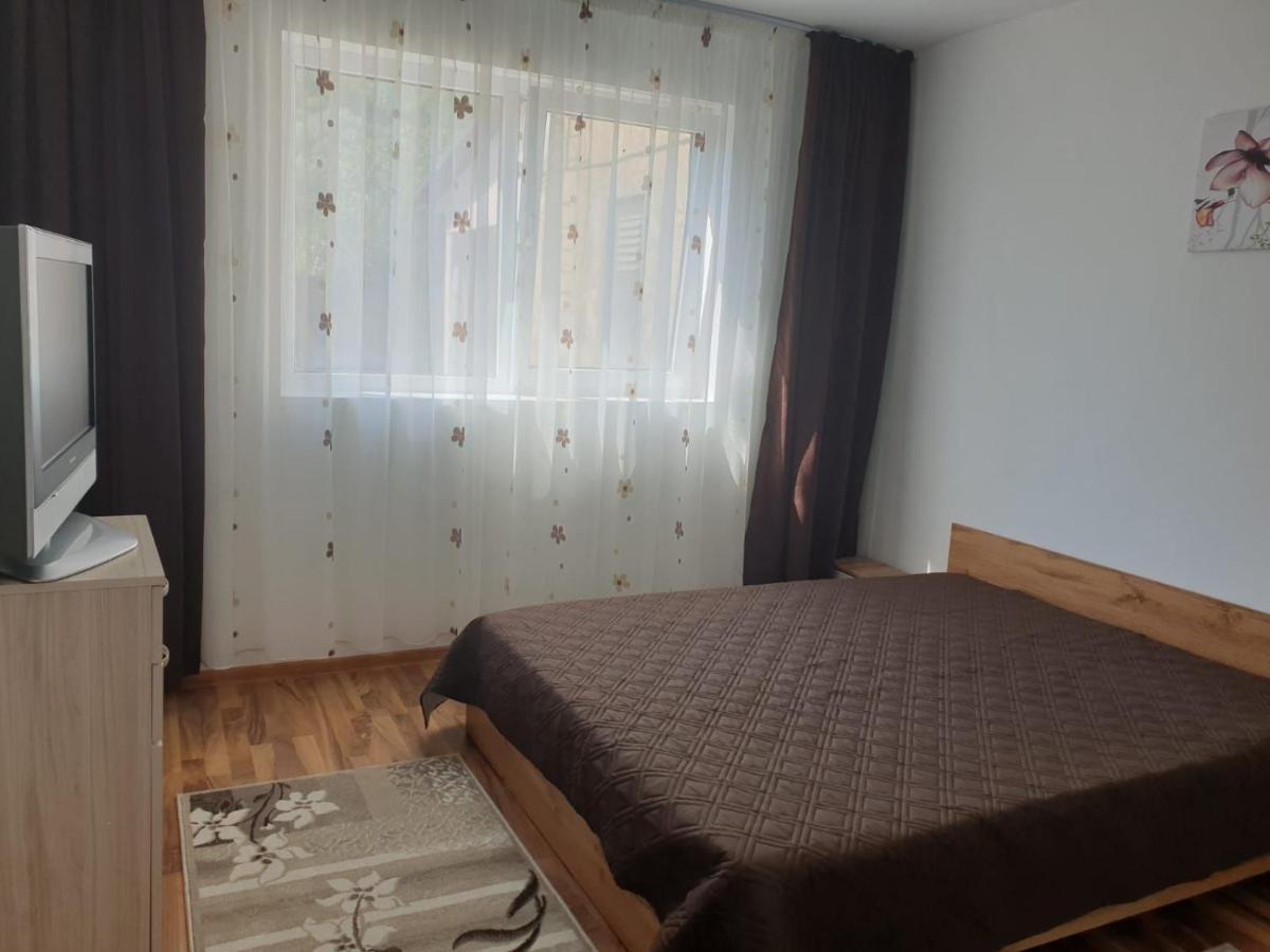 Cazare Apartament Cu 2 Camere ネホイウ エクステリア 写真