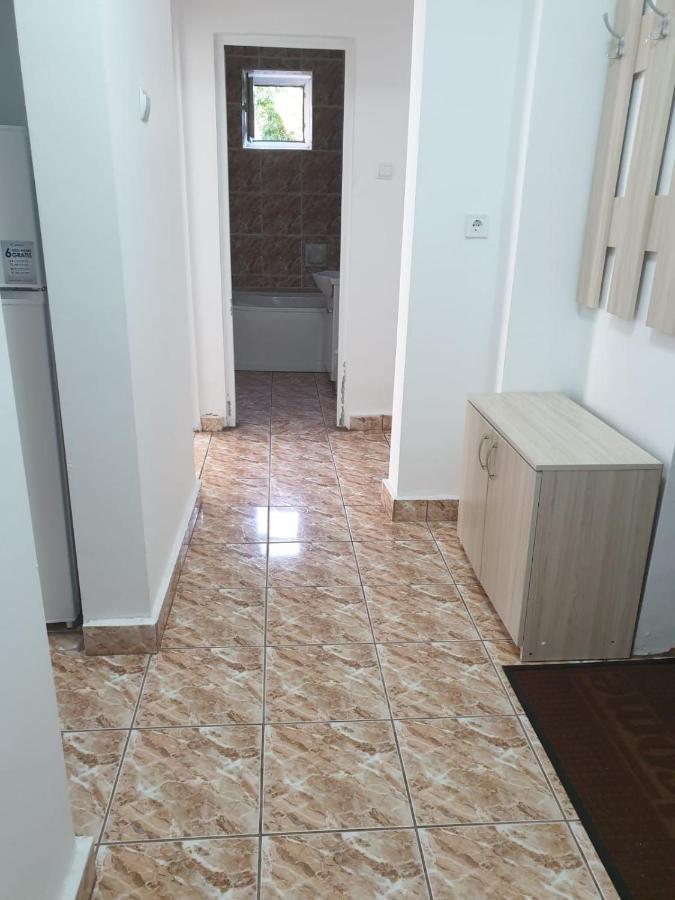 Cazare Apartament Cu 2 Camere ネホイウ エクステリア 写真